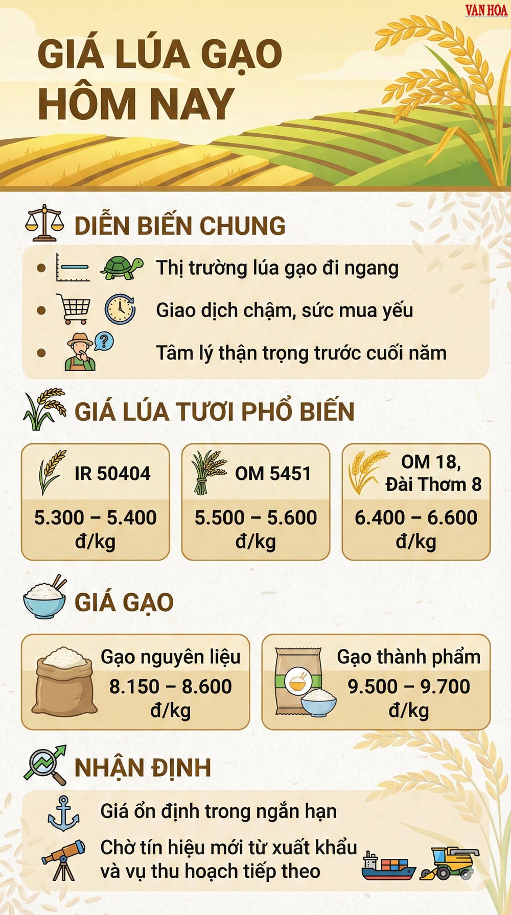 Giá lúa gạo hôm nay 19.12: Nguồn cung ổn định, sức mua chậm - ảnh 3