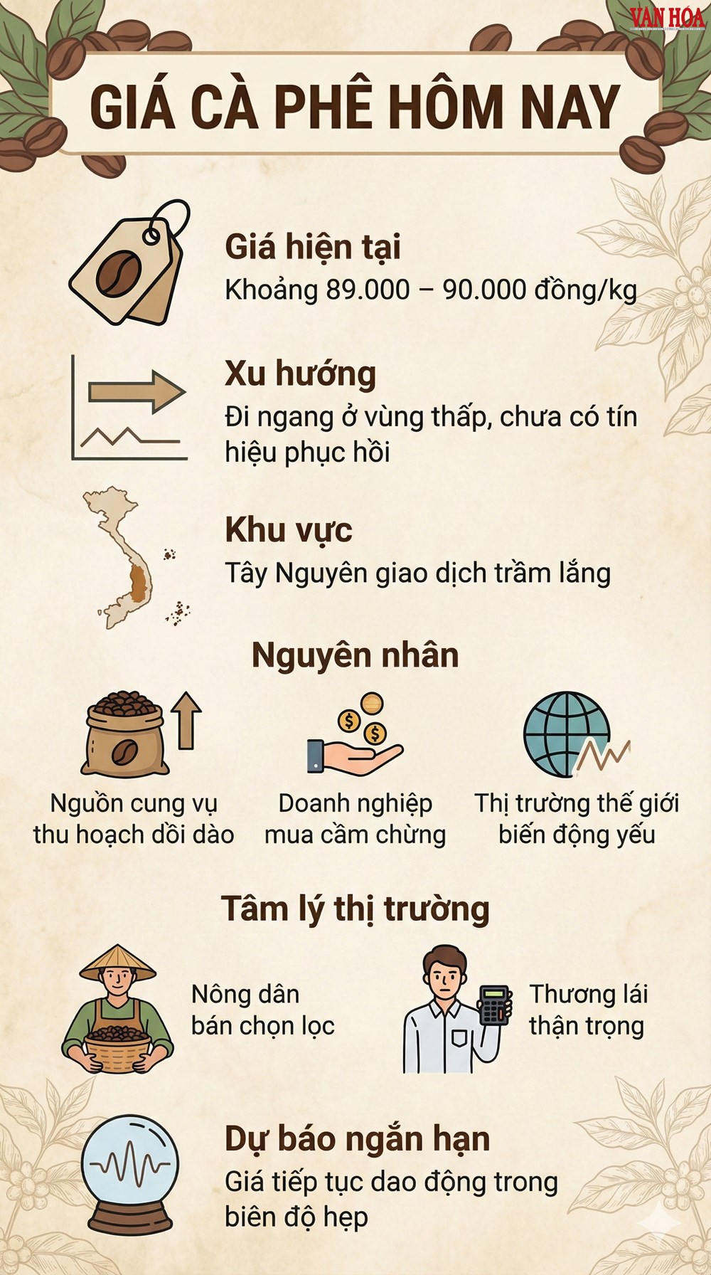 Giá cà phê hôm nay 20.12: Thấp ở quanh mốc 89.000 đồng/kg - ảnh 3