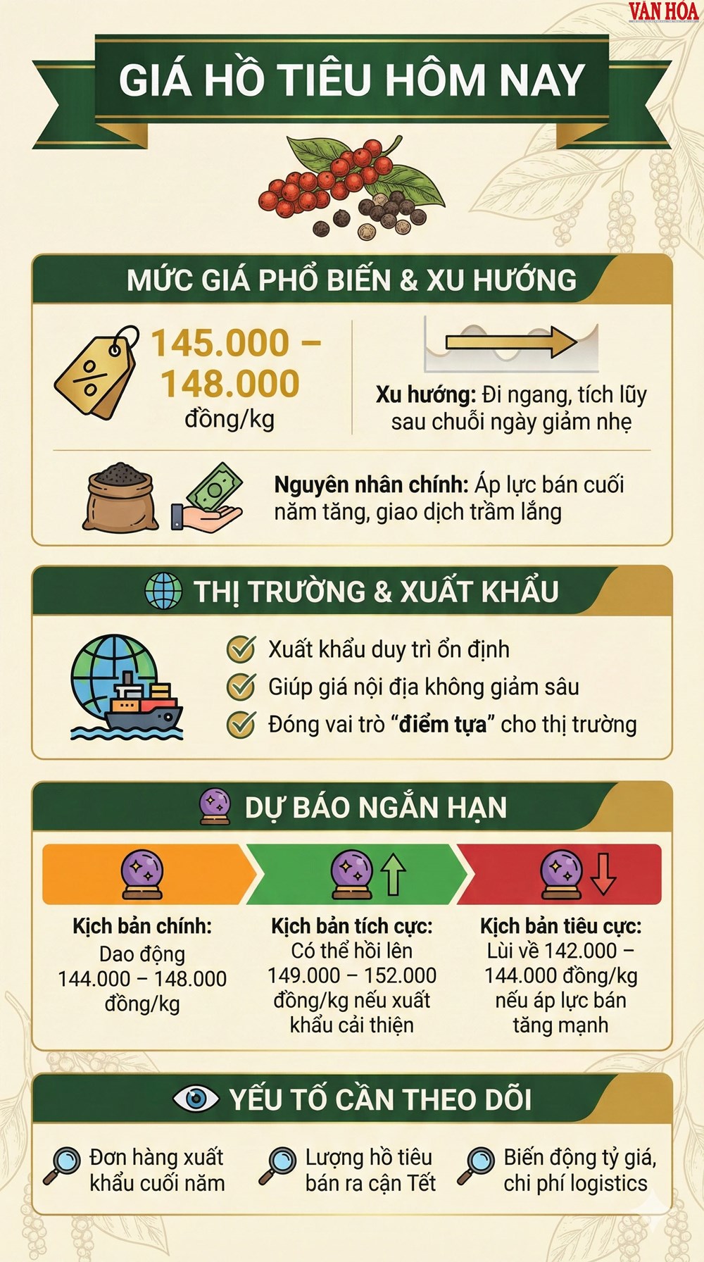 Giá hồ tiêu hôm nay 20.12: Đi ngang, thị trường chờ lực đẩy mới - ảnh 3