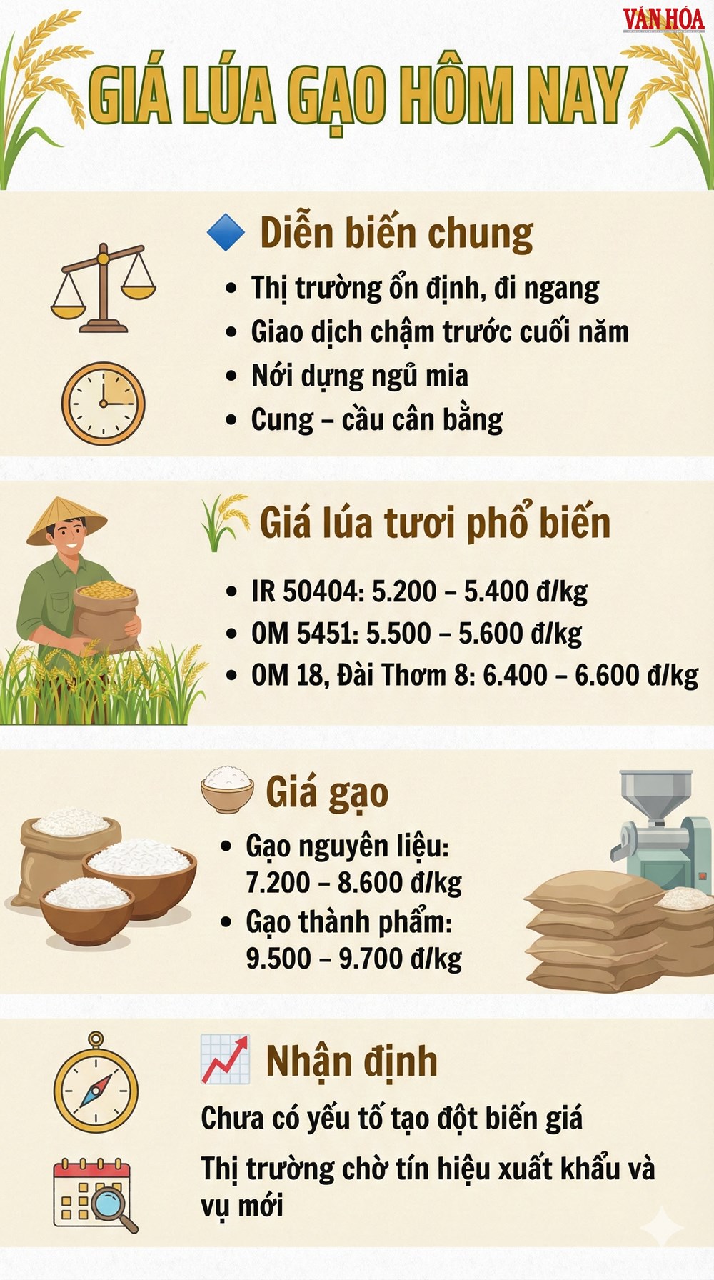 Giá lúa gạo hôm nay 20.12: Ổn định, giao dịch chậm - ảnh 2