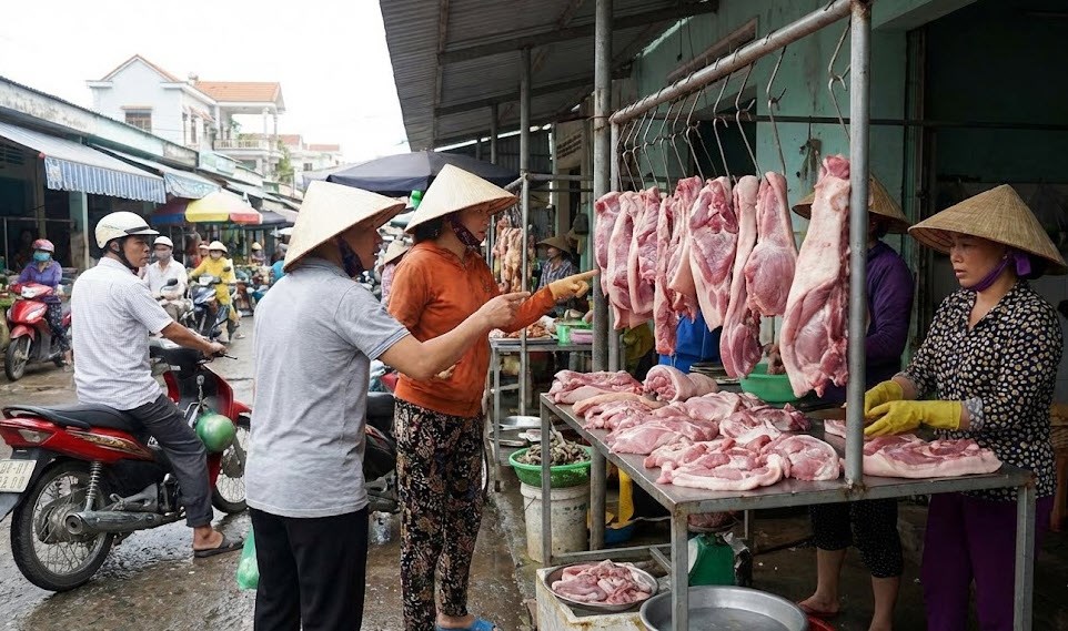 Giá heo hơi hôm nay 23.12: Khó giảm trước Tết - ảnh 1