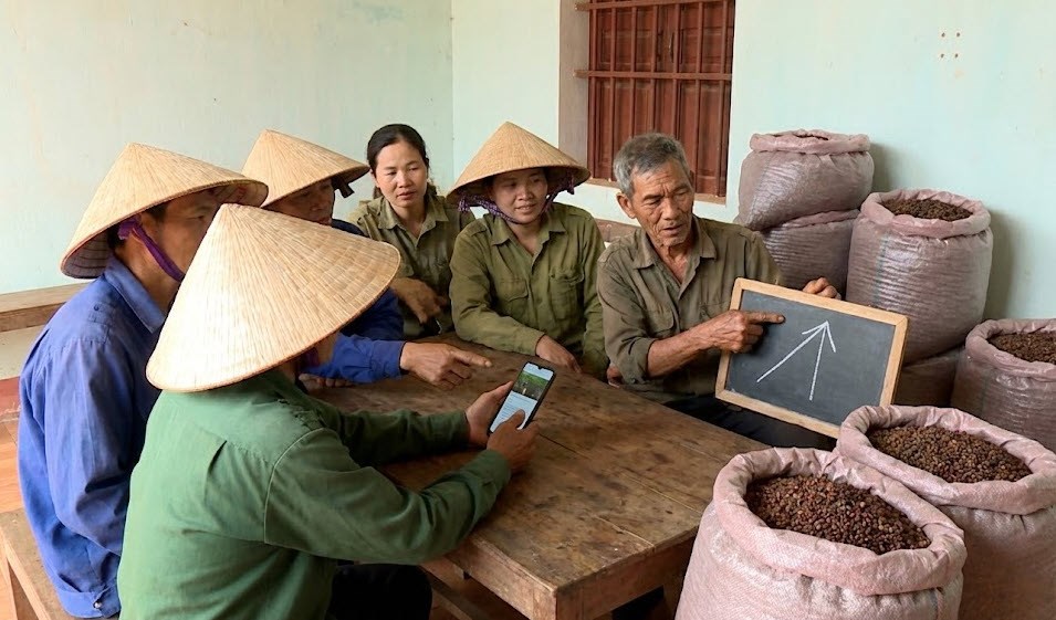 Giá hồ tiêu hôm nay 25.12: Tăng nhẹ, nông dân tiếp tục giữ hàng - ảnh 1