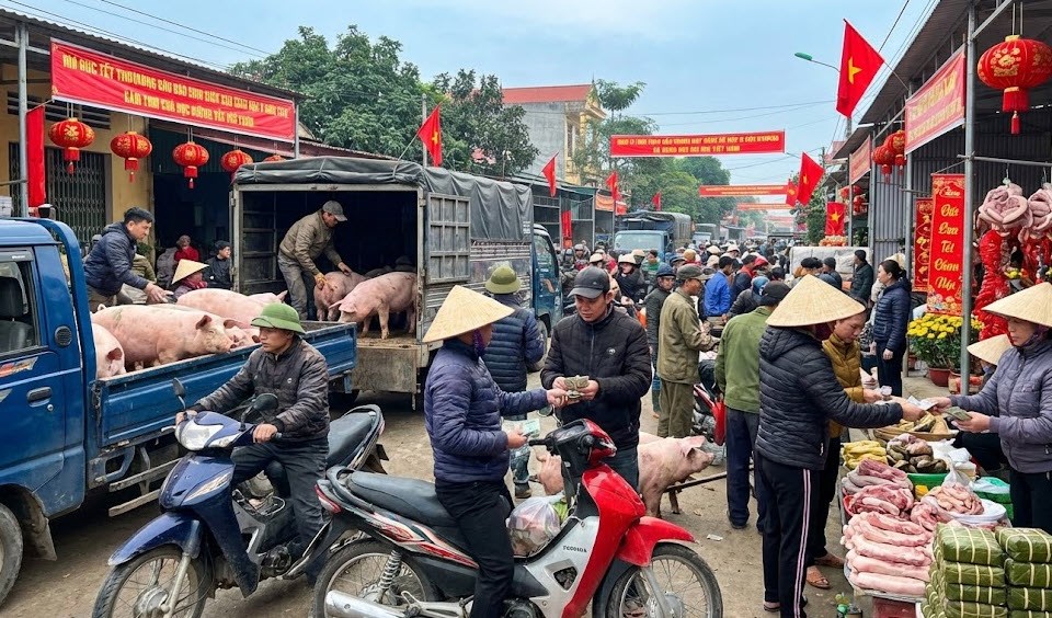 Giá heo hơi hôm nay 26.12: Vẫn cao, chưa có dấu hiệu hạ nhiệt - ảnh 1