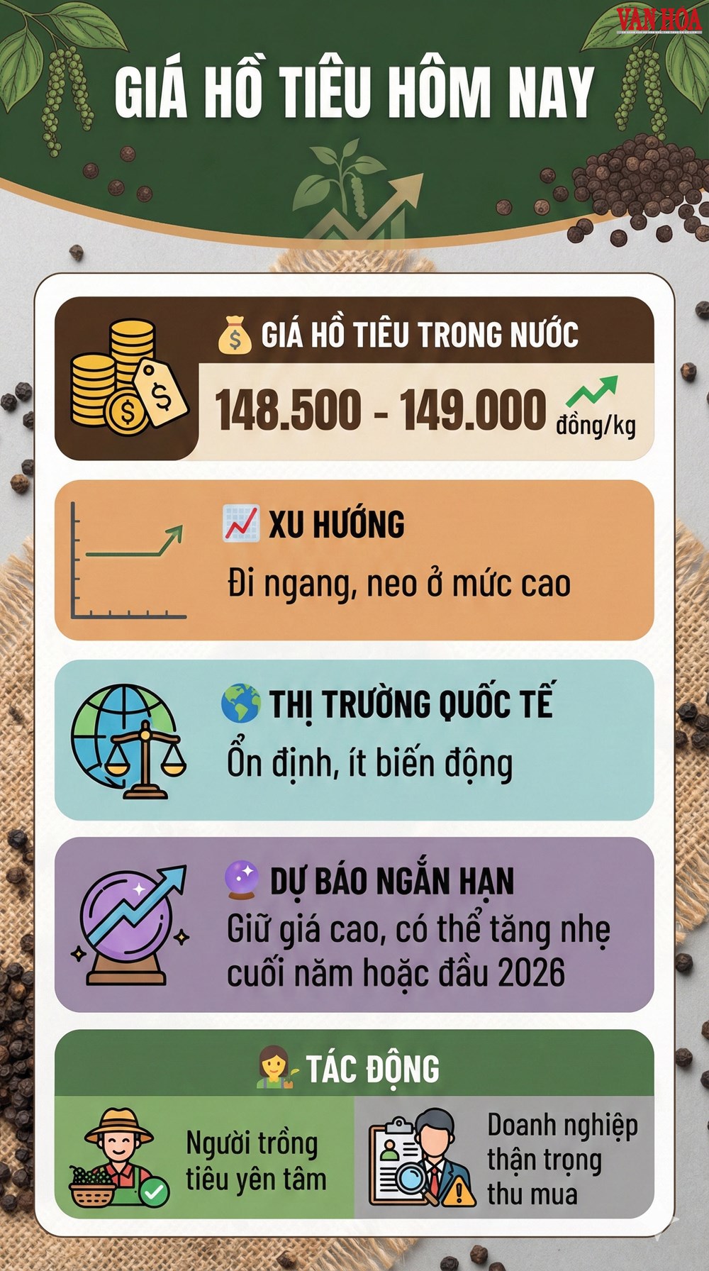 Giá hồ tiêu hôm nay 26.12: Neo cao sát mốc 150.000 đồng/kg - ảnh 3