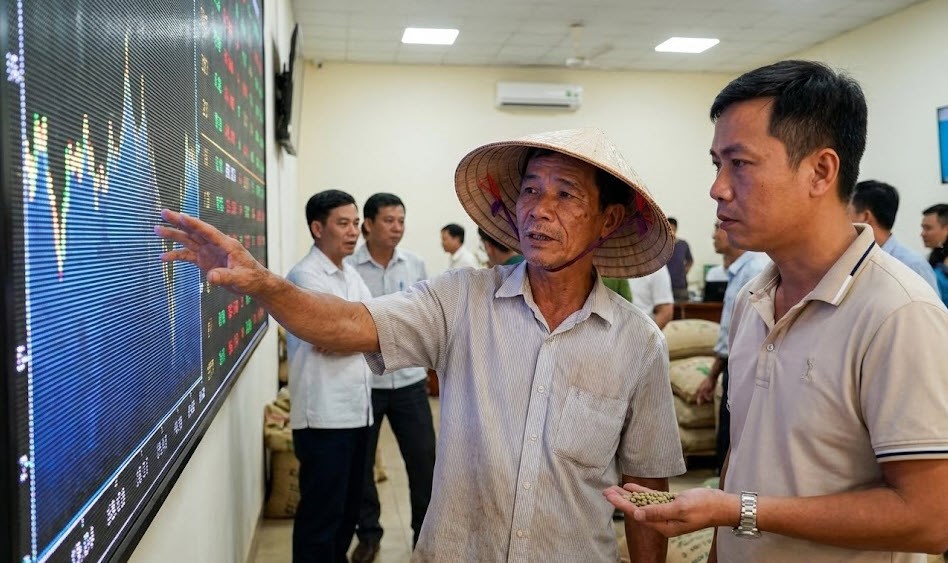 Giá cà phê hôm nay 28.12: Neo cao trên mốc 98.000 đ/kg - ảnh 1