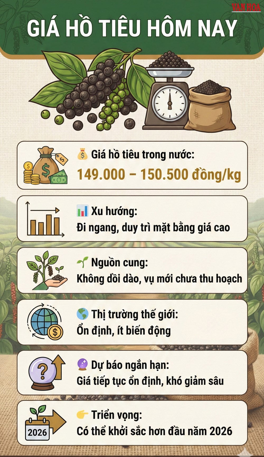 Giá hồ tiêu hôm nay 28.12: Vững mốc 150.000 đồng/kg - ảnh 2