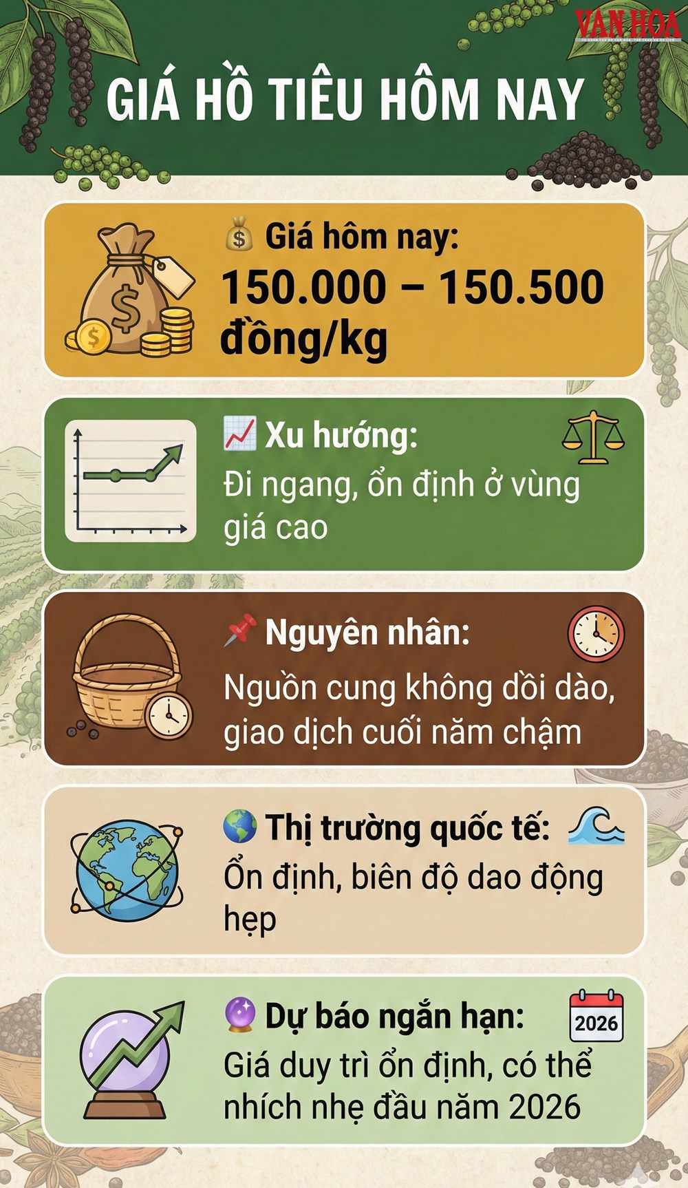 Giá hồ tiêu hôm nay 29.12: Neo cao sát mốc 150.000 đồng/kg - ảnh 2