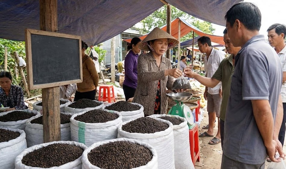 Giá hồ tiêu hôm nay 29.12: Neo cao sát mốc 150.000 đồng/kg - ảnh 1