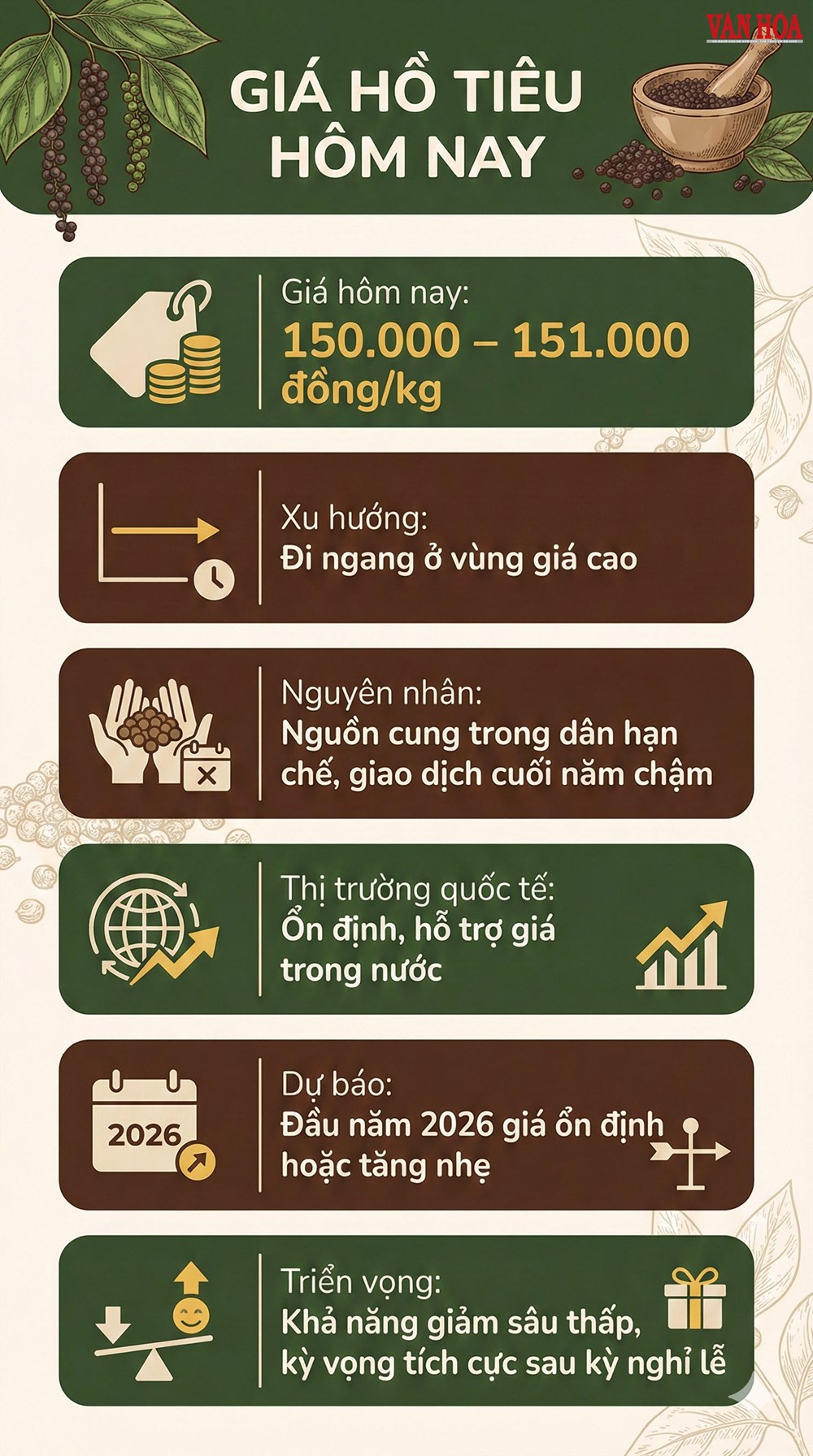 Giá hồ tiêu hôm nay 31.12: Giữ mốc 150.000 đồng/kg, khép năm tích cực - ảnh 3