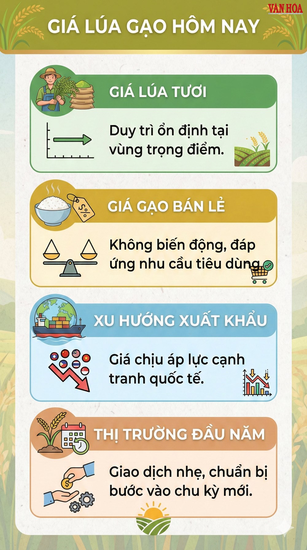 Giá lúa gạo hôm nay 1.1.2026: Biến động như nào so với cuối năm 2025? - ảnh 3