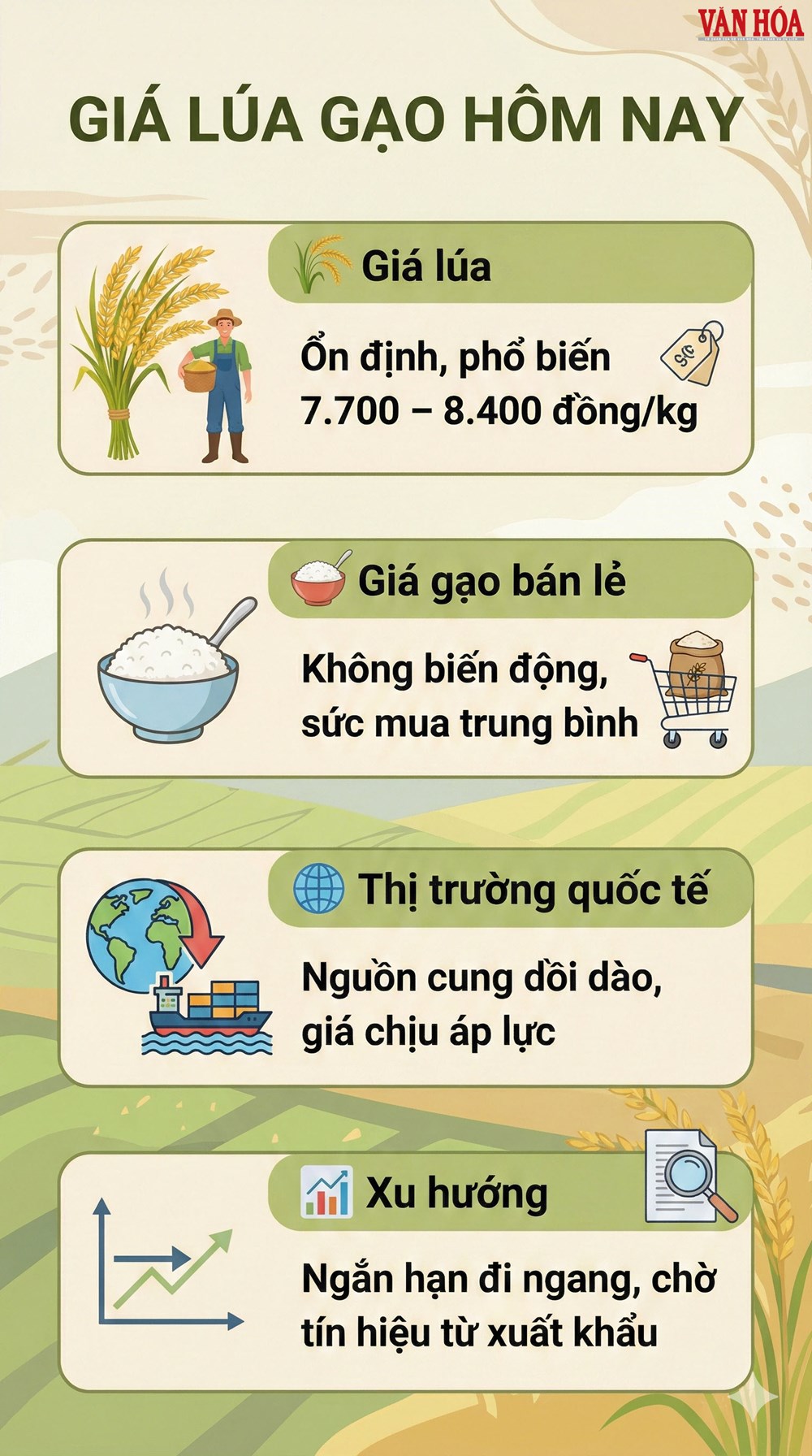 Giá lúa gạo hôm nay 2.1: Biến động ra sao? - ảnh 3