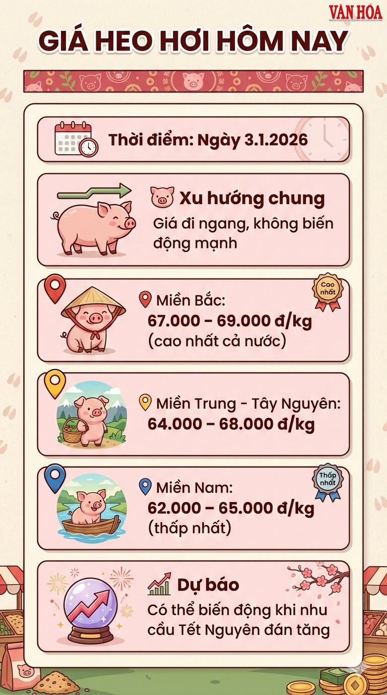 Giá heo hơi hôm nay 3.1: Miền Nam thấp nhất cả nước - ảnh 3