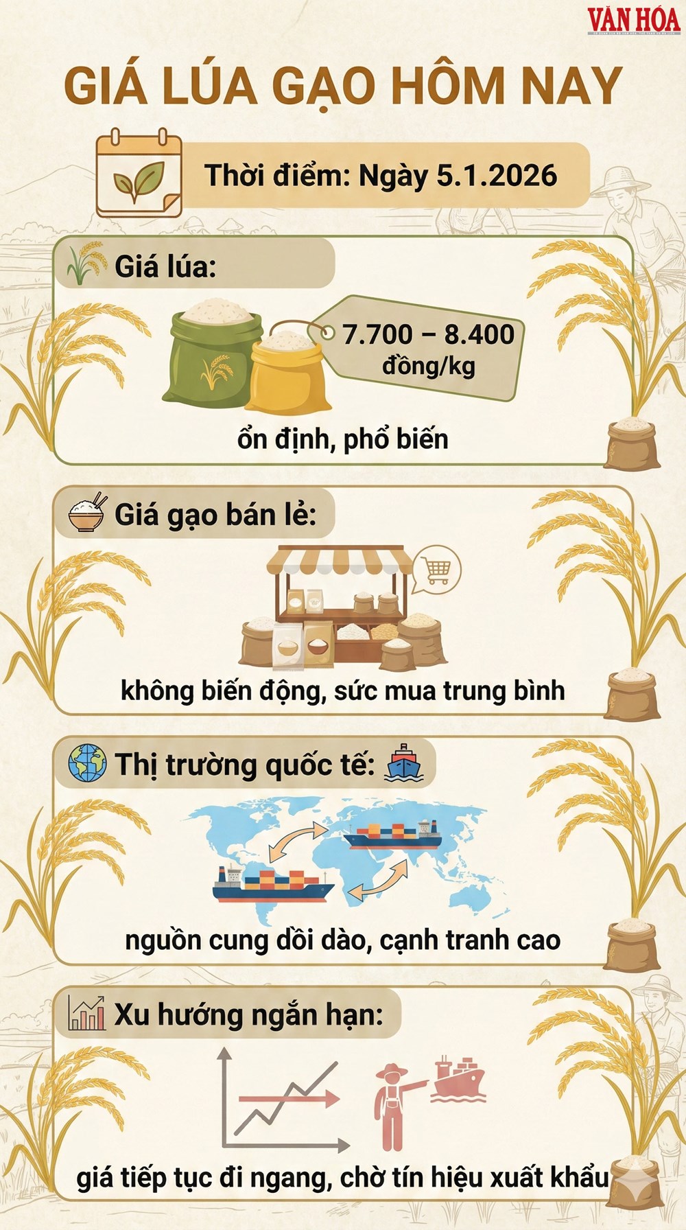 Giá lúa gạo hôm nay 5.1: Chưa có lực đẩy tăng giá - ảnh 3