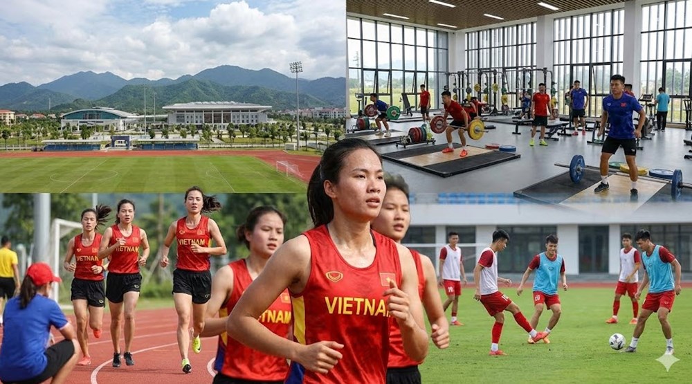 Chính phủ nâng chế độ lương, thưởng toàn diện cho VĐV, HLV từ năm 2026 - ảnh 1