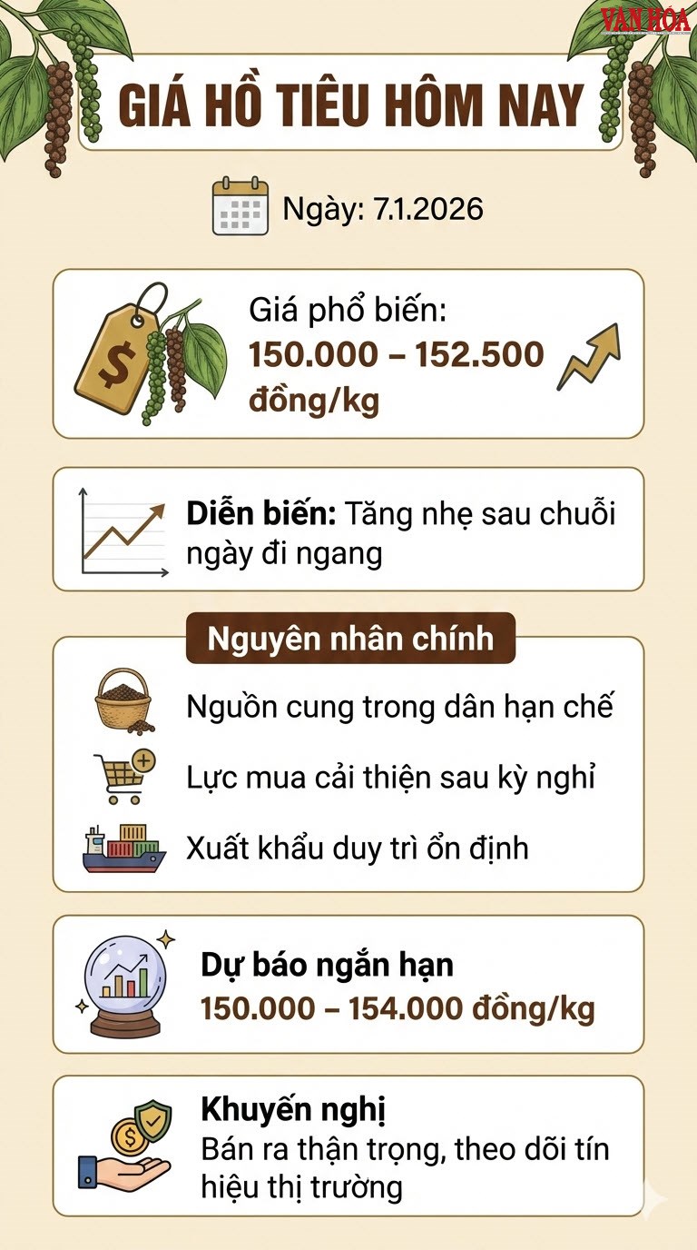 Giá hồ tiêu hôm nay 7.1.2026: Tăng nhẹ, thị trường tích cực - ảnh 3