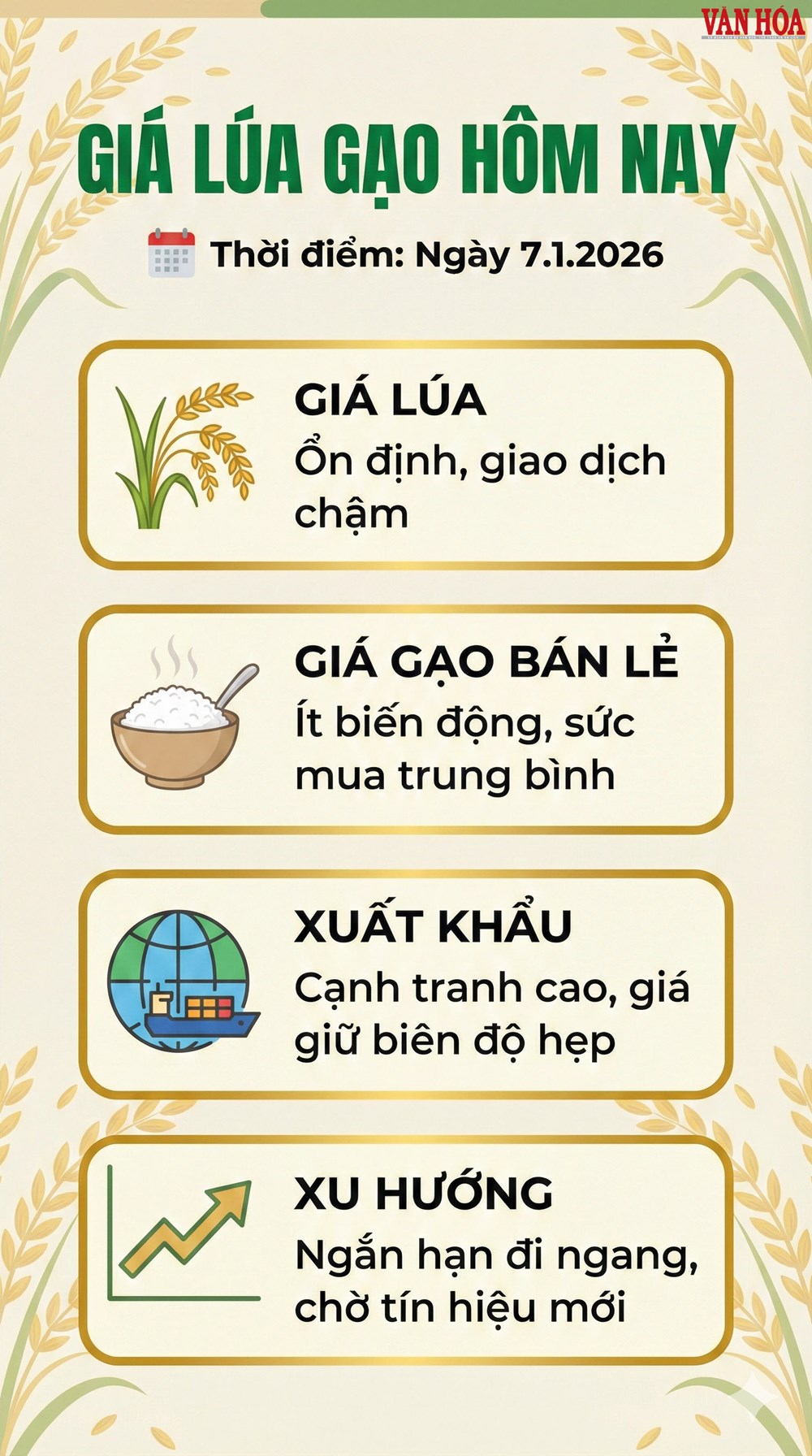 Giá lúa gạo hôm nay 7.1.2026: Thị trường đi ngang trên diện rộng - ảnh 3