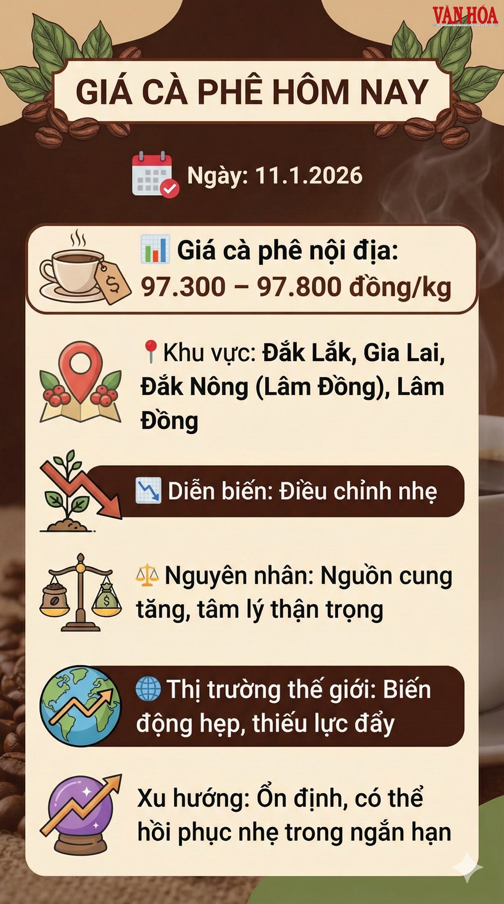 Giá cà phê hôm nay 11.1.2026 điều chỉnh nhẹ - ảnh 3