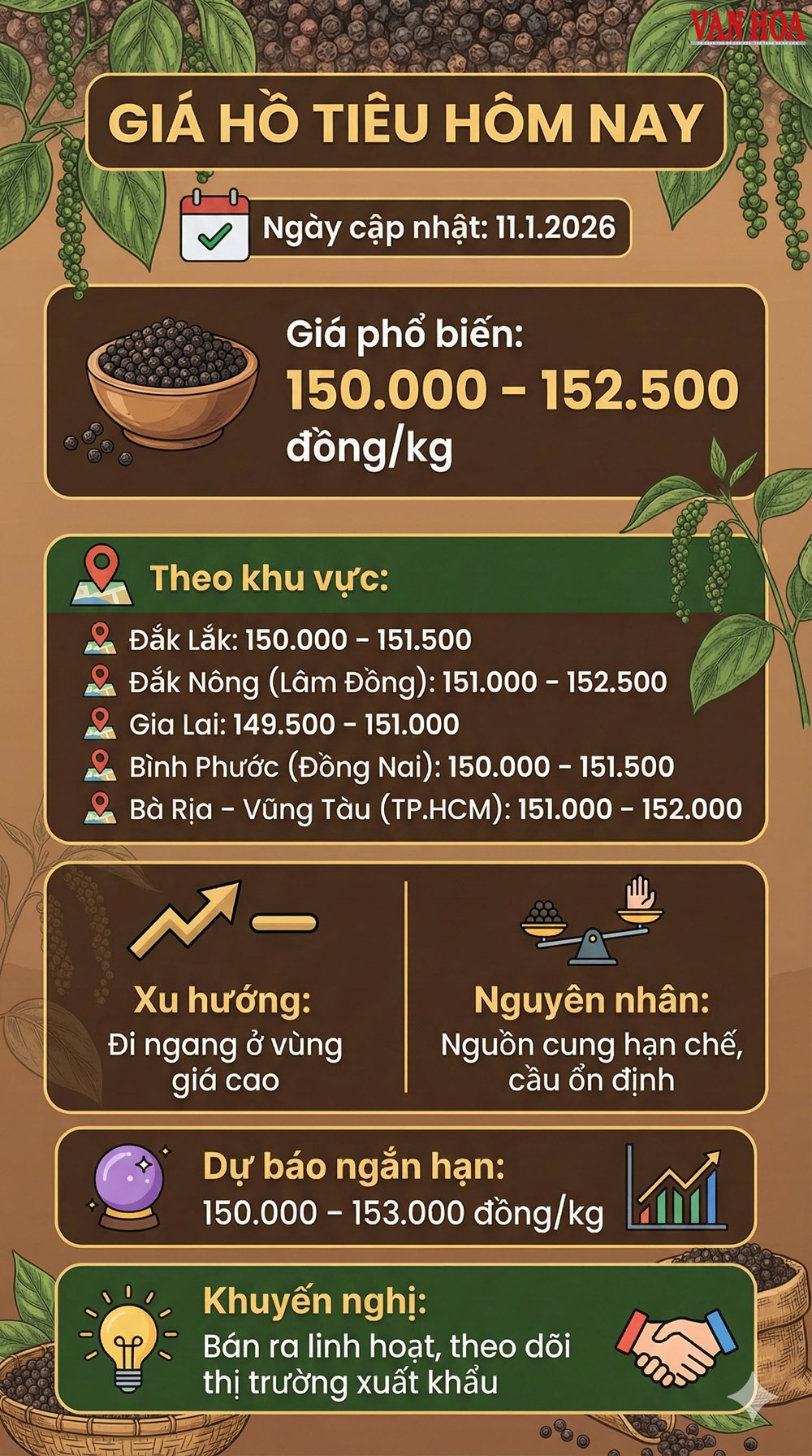 Giá hồ tiêu hôm nay 11.1.2026: Vững vàng ở vùng đỉnh - ảnh 3