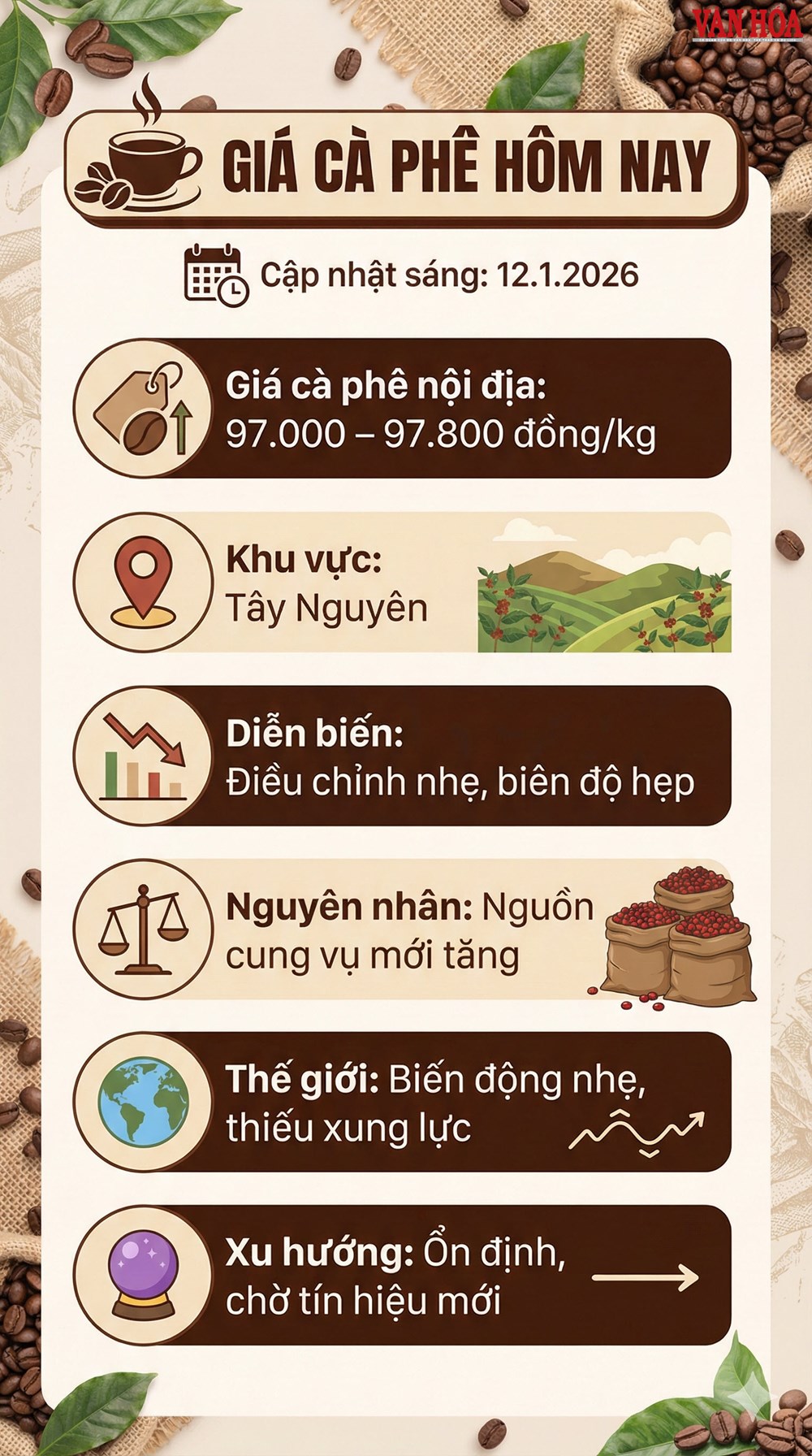 Giá cà phê hôm nay 12.1.2026 giảm nhẹ - ảnh 3