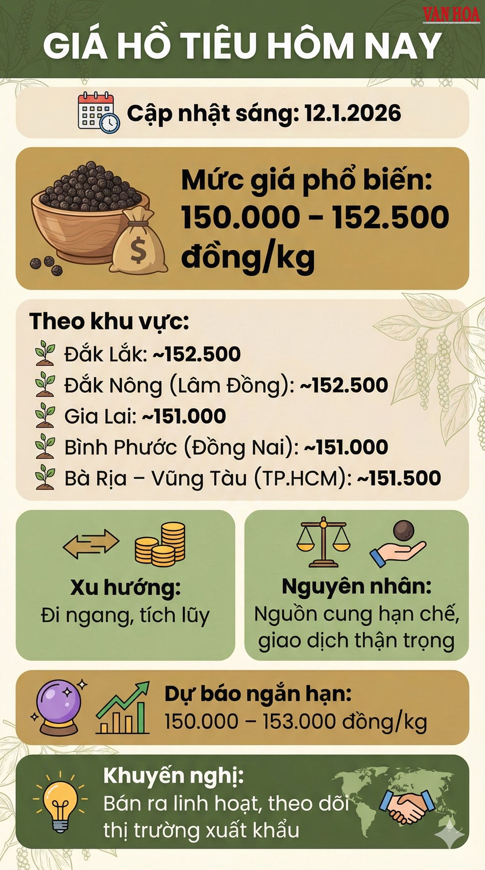 Giá hồ tiêu hôm nay 12.1: Tiếp tục đi ngang quanh mức 150.000 đồng/kg - ảnh 3