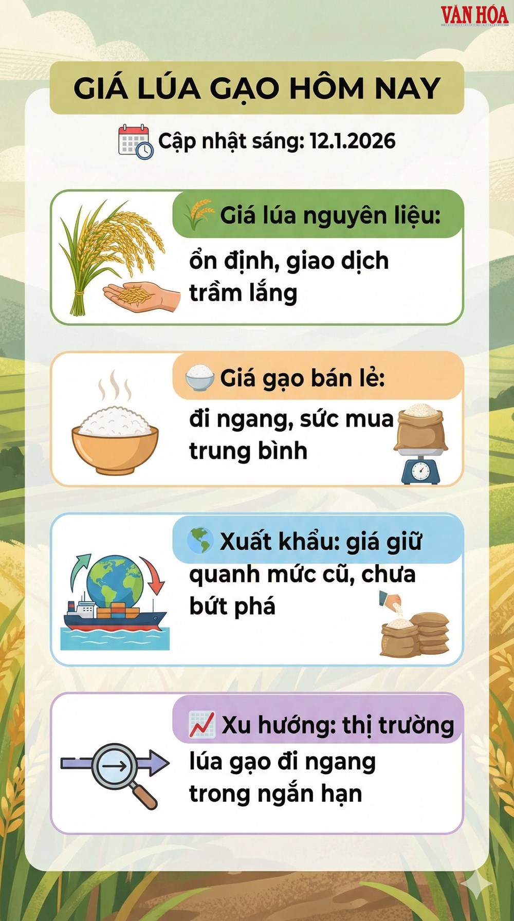 Giá lúa gạo hôm nay 12.1: Ổn định trong nước và xuất khẩu - ảnh 3