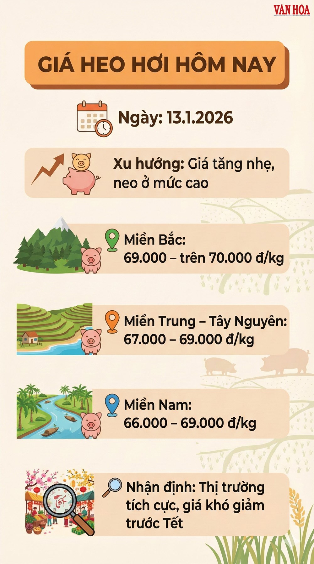 Giá heo hơi hôm nay 13.1: Neo cao trước Tết - ảnh 2