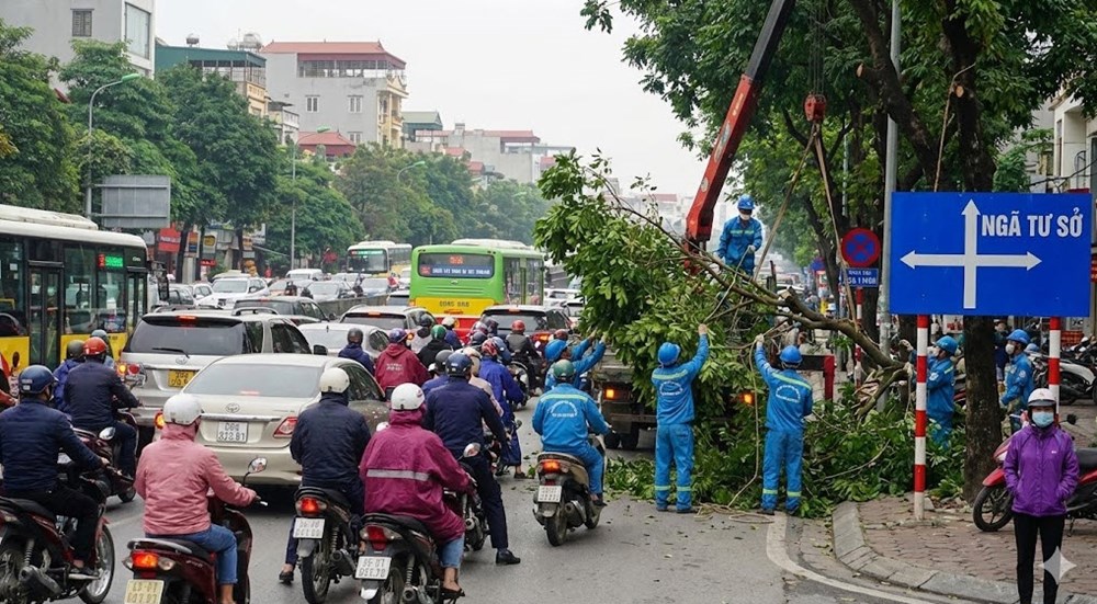 Giao thông Hà Nội sáng 13.1: Ngã tư Sở ùn ứ do cắt tỉa cây xanh - ảnh 1