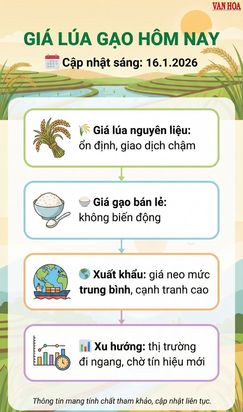 Giá lúa gạo hôm nay 16.1: Ổn định trên diện rộng - ảnh 3