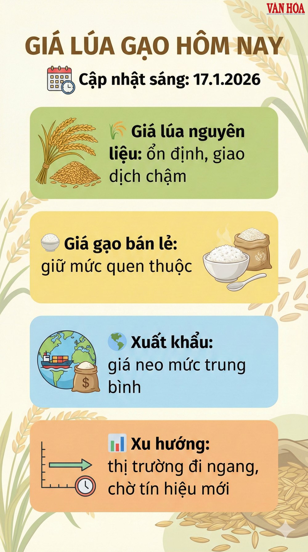Giá lúa gạo hôm nay 17.1: Chưa có biến động lớn - ảnh 3
