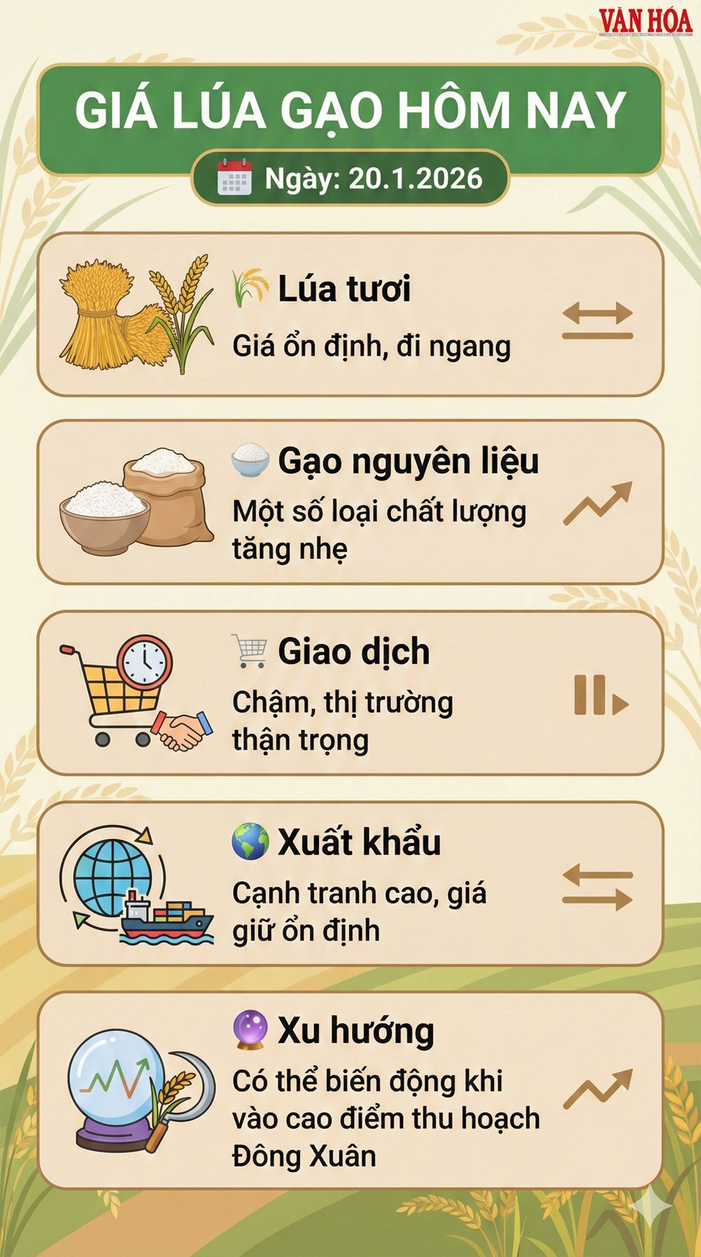 Giá lúa gạo hôm nay 20.1.2026: Gạo thơm nhích giá - ảnh 3