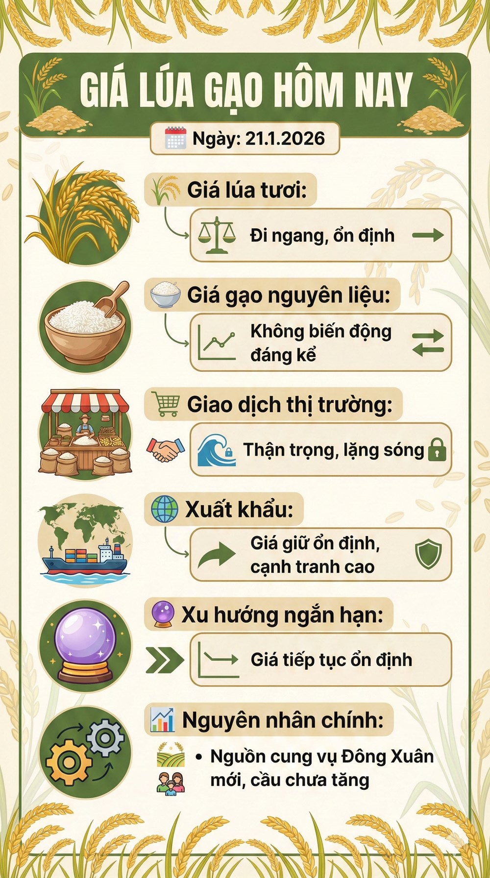 Giá lúa gạo hôm nay 21.1.2026: Thị trường lặng sóng - ảnh 2