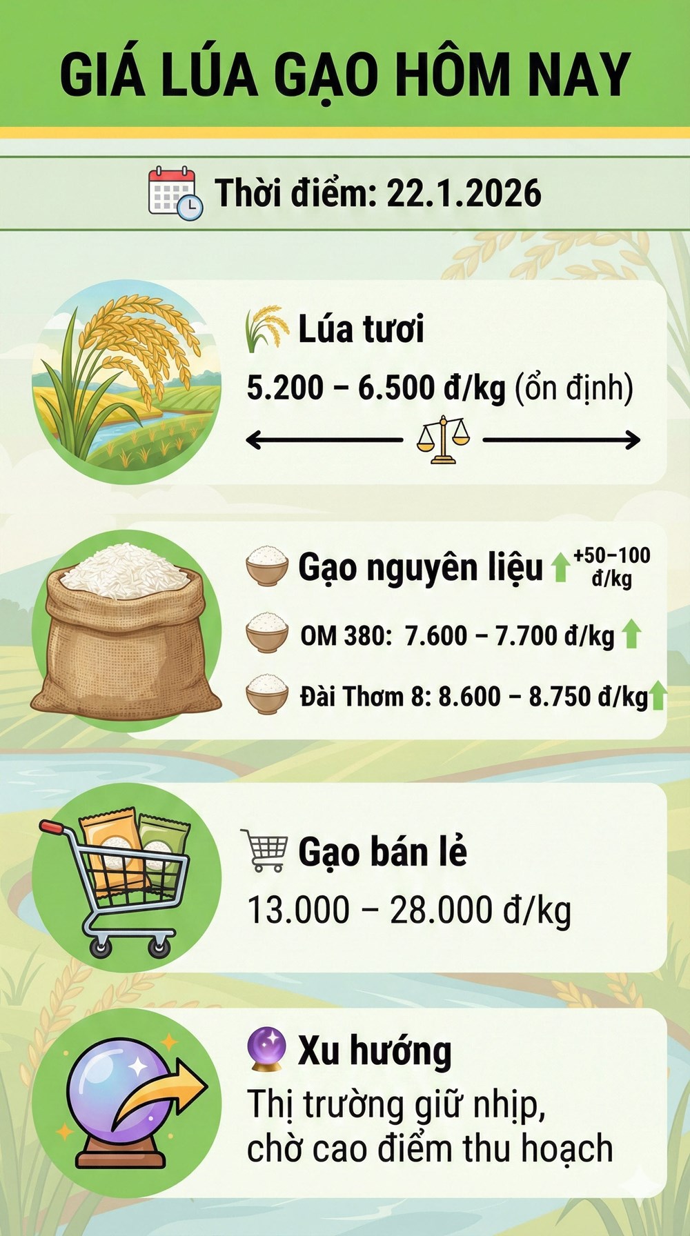 Giá lúa gạo hôm nay 22.1: Gạo nguyên liệu tăng nhẹ, lúa tươi giữ giá - ảnh 3