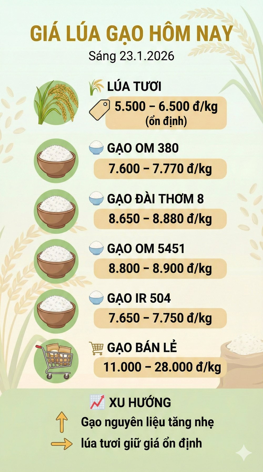 Giá lúa gạo hôm nay 23.1.2026: Gạo nguyên liệu tăng nhẹ - ảnh 3