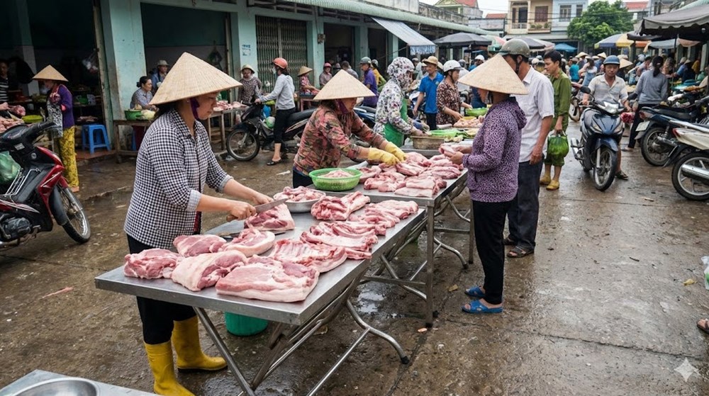 Giá heo hơi hôm nay 25.1: Miền Bắc lập đỉnh 80.000 đồng/kg - ảnh 1