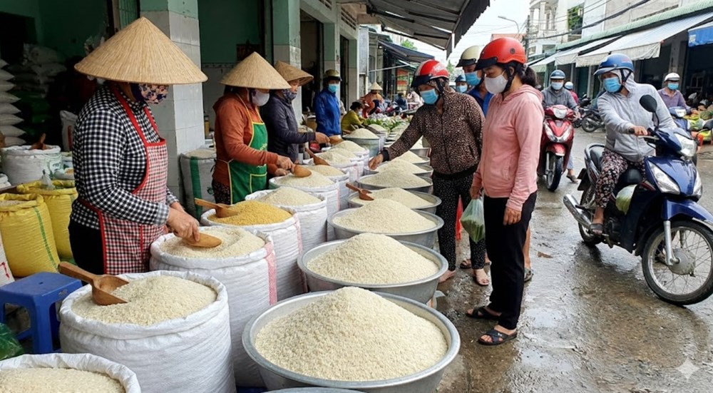 Giá lúa gạo hôm nay 26.1: Gạo nguyên liệu giảm nhẹ - ảnh 1