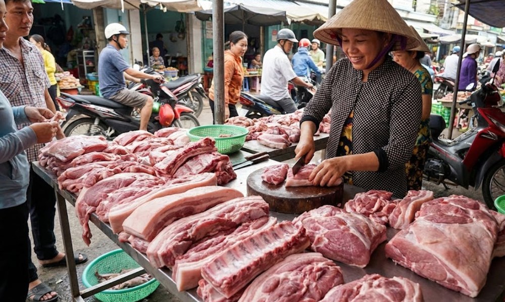 Giá heo hơi hôm nay 27.1.2026: Miền Bắc lập đỉnh 80.000 đồng/kg - ảnh 1