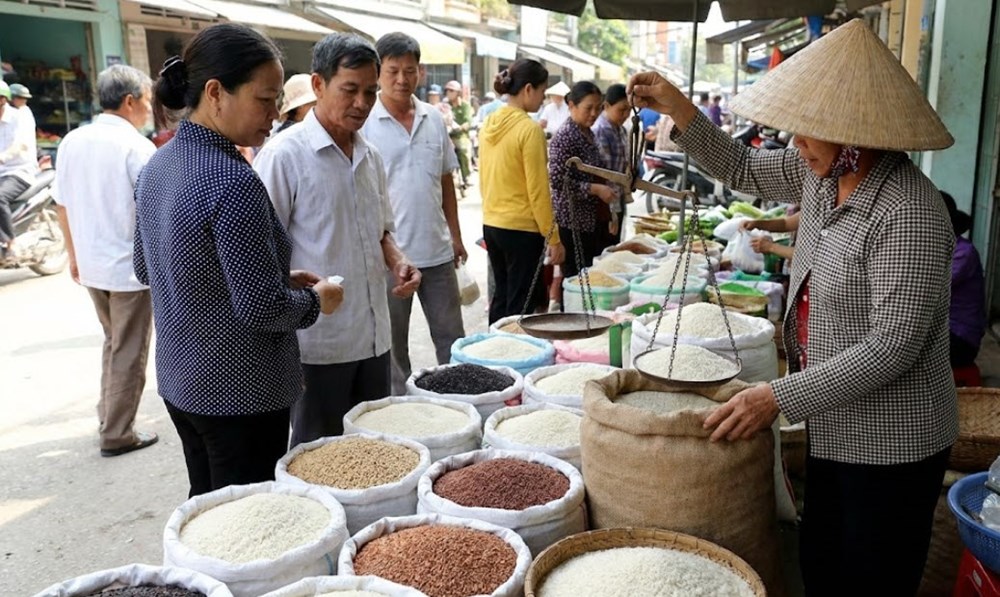 Giá lúa gạo hôm nay 1.2.2026: Thị trường ổn định, giao dịch dè dặt trước Tết - ảnh 2