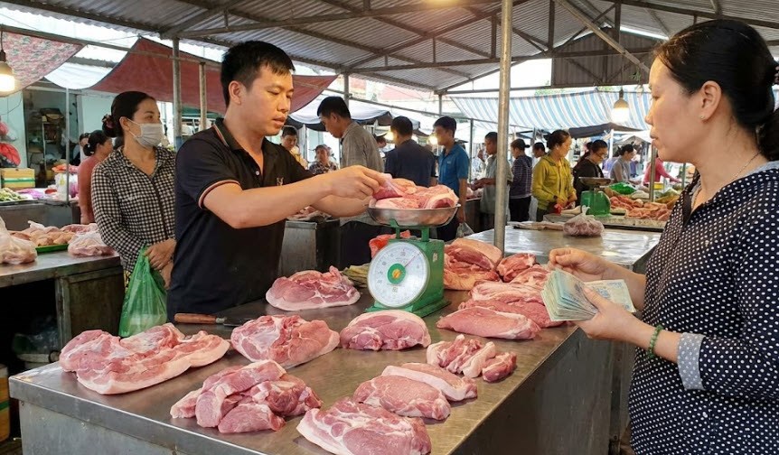 Giá heo hơi hôm nay 10.2: Miền Bắc giữ đỉnh 76.000 đồng/kg - ảnh 1