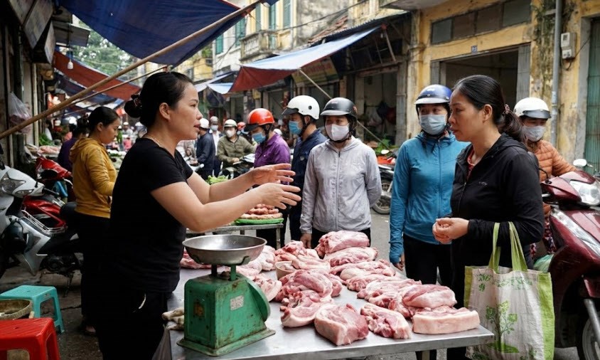 Giá heo hơi hôm nay 13.2: Dao động 71.000 – 74.000 đồng/kg - ảnh 1