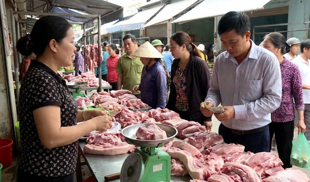 Giá heo hơi hôm nay 24.2: Miền Bắc có nơi giảm còn 70.000 đồng/kg - ảnh 1