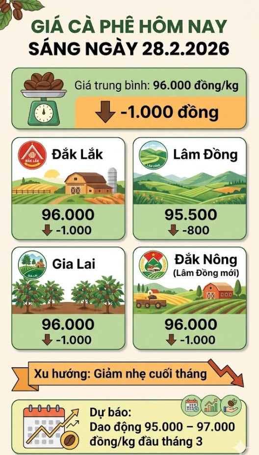 Giá cà phê hôm nay 28.2: Quay đầu giảm, mất mốc 97.000 đồng/kg - ảnh 3