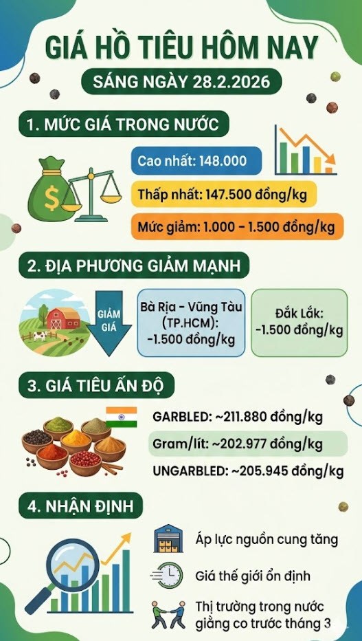 Giá hồ tiêu hôm nay 28.2: Giảm mạnh, mất mốc 149.000 đồng/kg - ảnh 3