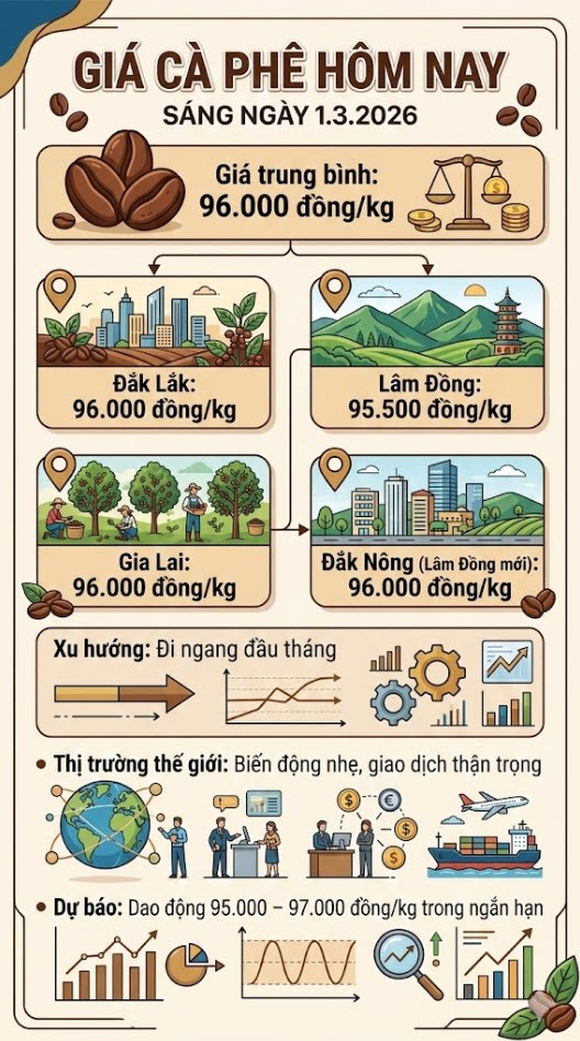 Giá cà phê ngày 1.3: Giữ vững mốc 96.000 đồng/kg đầu tháng - ảnh 3