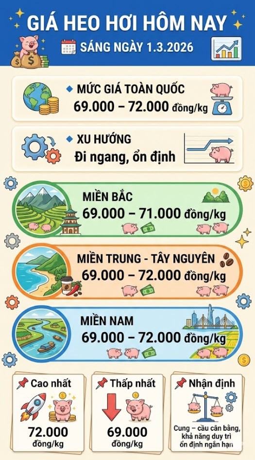 Giá heo hơi hôm nay 1.3: Giữ mức 69.000 – 72.000 đồng/kg - ảnh 3