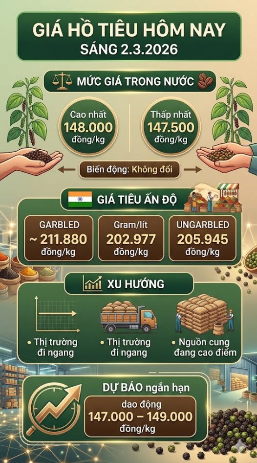Giá hồ tiêu hôm nay 2.3: Duy trì mốc 148.000 đồng/kg - ảnh 3