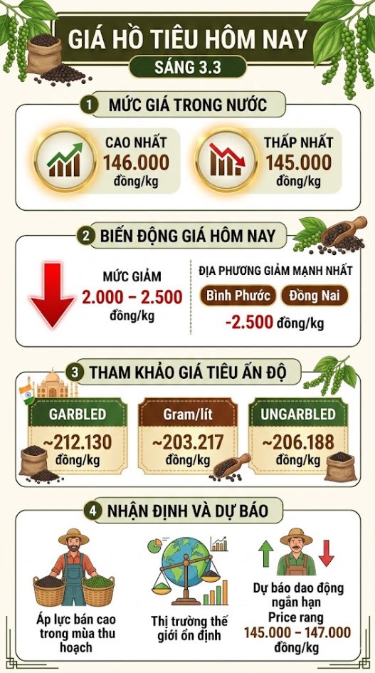 Giá hồ tiêu hôm nay 3.3: Giảm mạnh, nơi mất tới 2.500 đồng/kg - ảnh 3