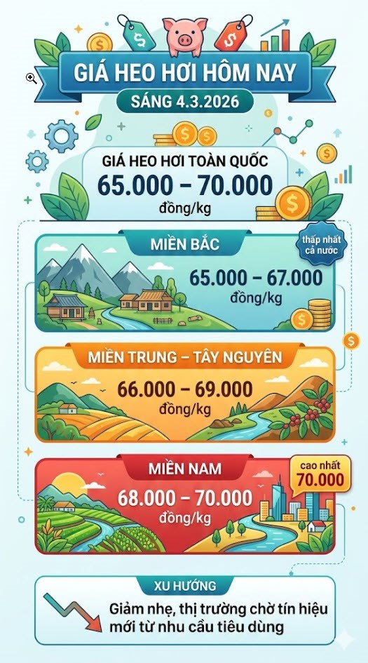 Giá heo hơi hôm nay 4.3: Miền Bắc chạm đáy 65.000 đồng/kg - ảnh 3