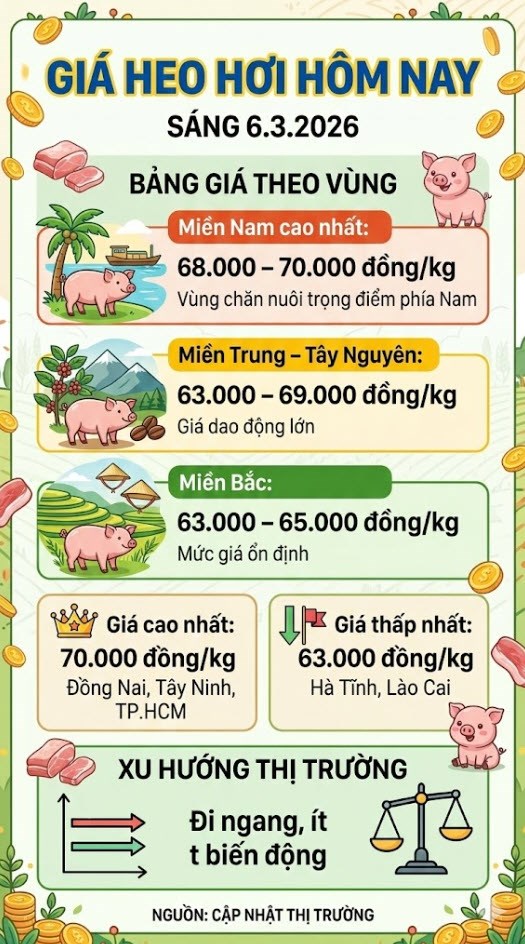 Giá heo hơi hôm nay 6.3: Miền Nam giữ mốc 70.000 đồng/kg - ảnh 3