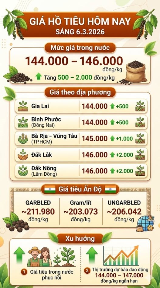 Giá hồ tiêu hôm nay 6.3: Tăng mạnh tới 2.000 đồng/kg - ảnh 3