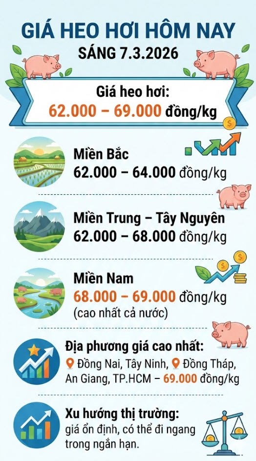 Giá heo hơi hôm nay 7.3: Miền Nam chạm 69.000 đồng/kg - ảnh 3